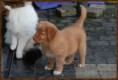 /album/fotogalerij-gio/gio-7-weken-thuis-jpg/